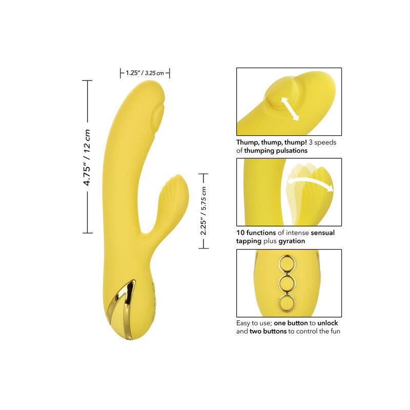 CalExotics San Diego Seduction